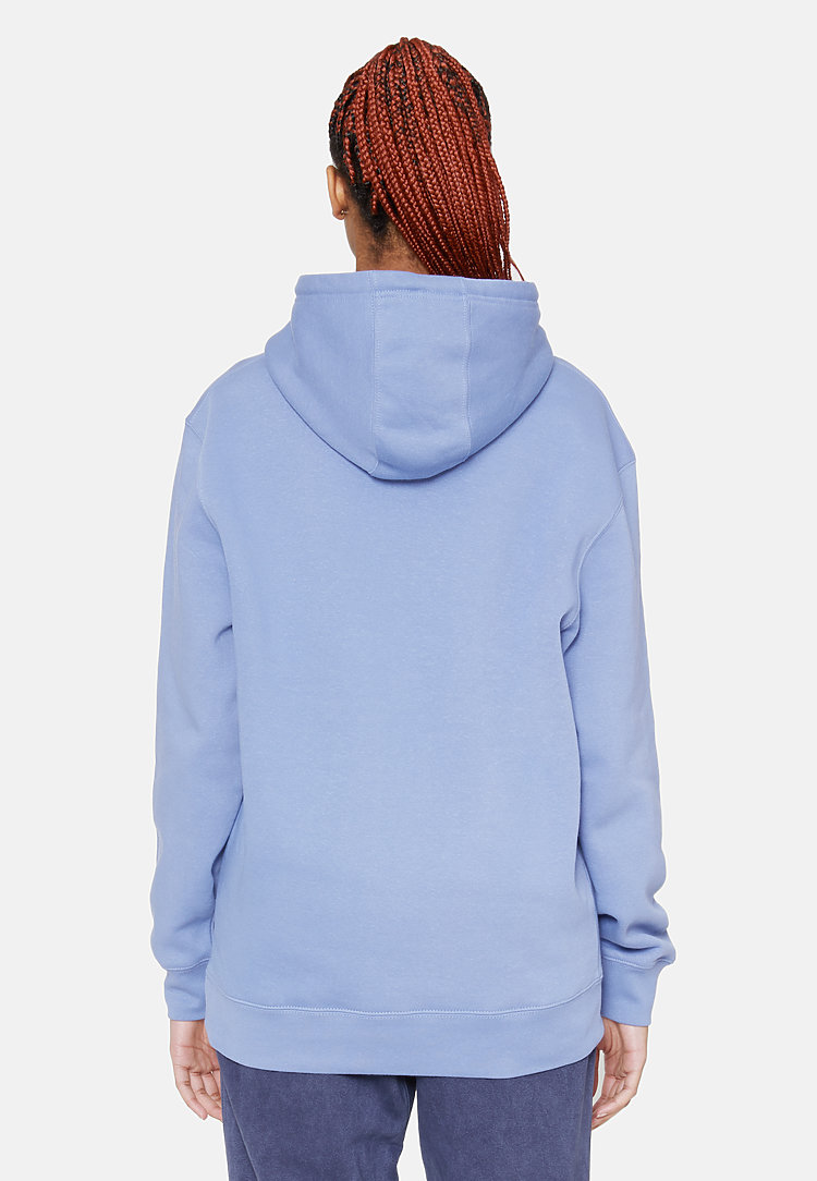 Premium Pullover Hoodie COLONY BLUE backw