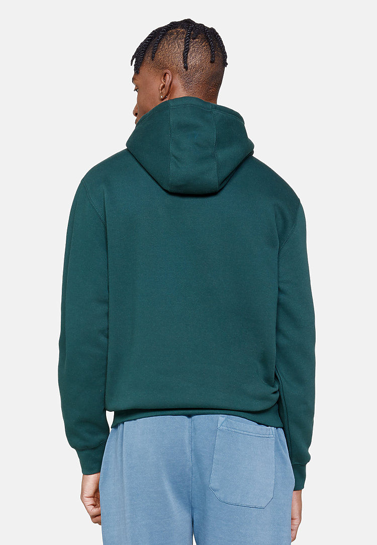 Premium Pullover Hoodie SPORTS GREEN back