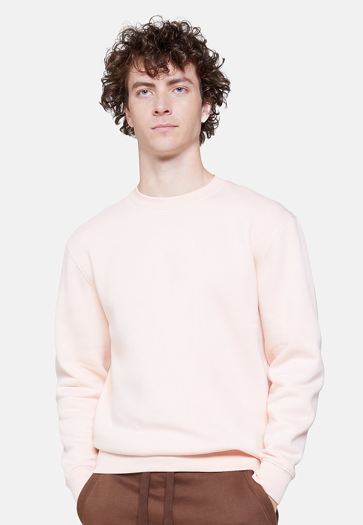 Premium Crewneck Sweatshirt PALE PINK front