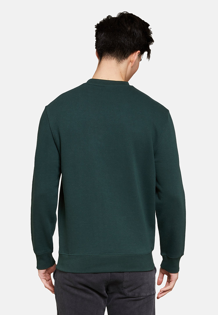 Premium Crewneck Sweatshirt SPORTS GREEN back