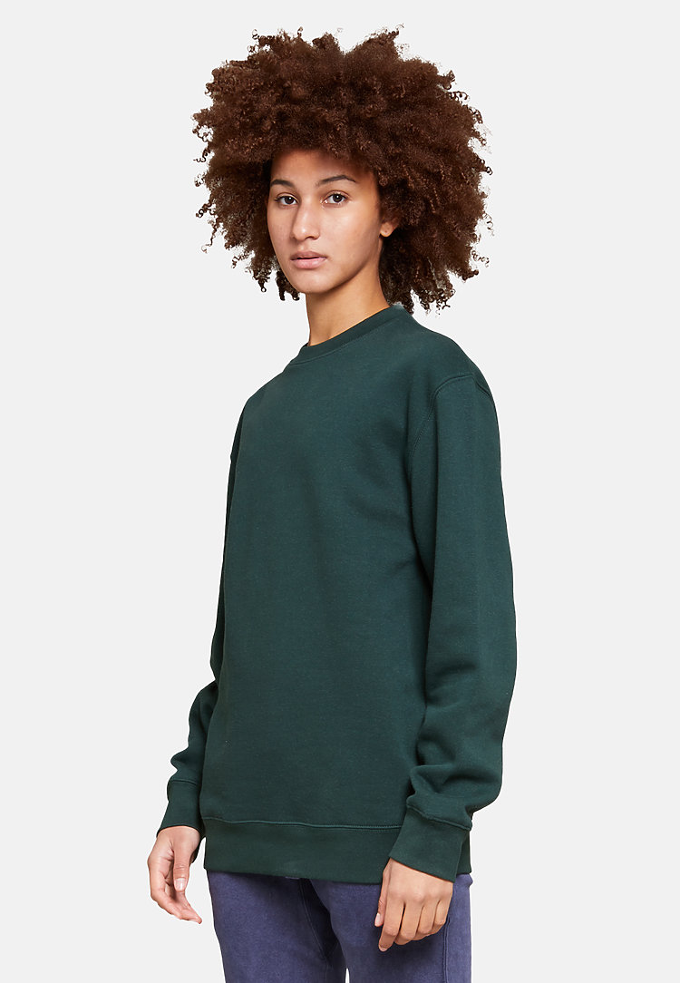 Premium Crewneck Sweatshirt SPORTS GREEN sidew