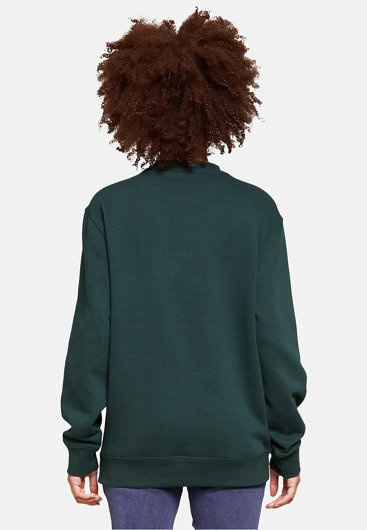 Premium Crewneck Sweatshirt SPORTS GREEN backw